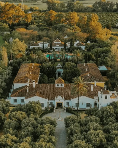 Palace Palace